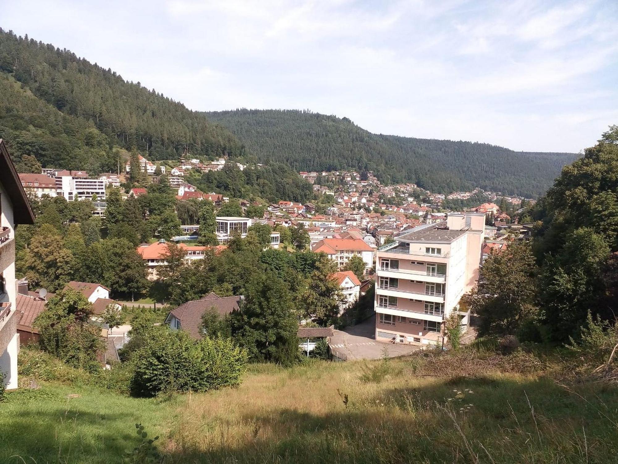 Ferienwohnung Tannenwald Бад-Вильдбад Экстерьер фото